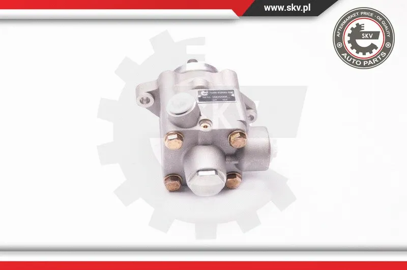 Hydraulic Pump, steering (1SKV0005)