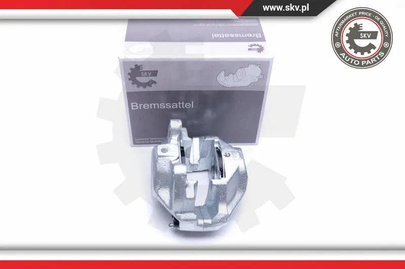 Brake Caliper (45SKV251)