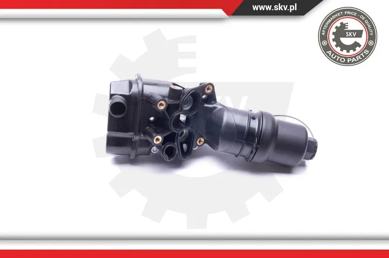Housing, oil filter (31SKV051)