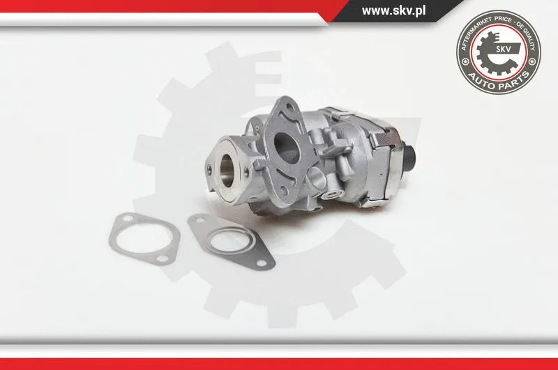 EGR Valve