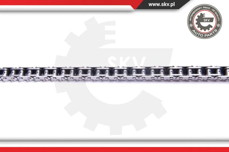 Timing Chain Kit