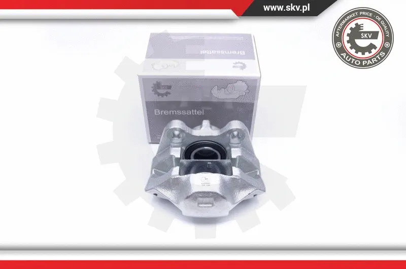 Brake Caliper (45SKV062)