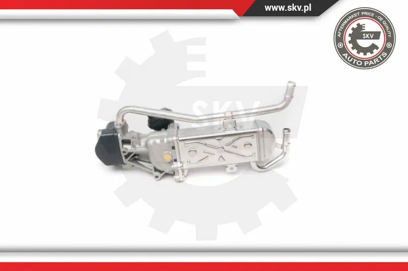EGR Valve (14SKV095)