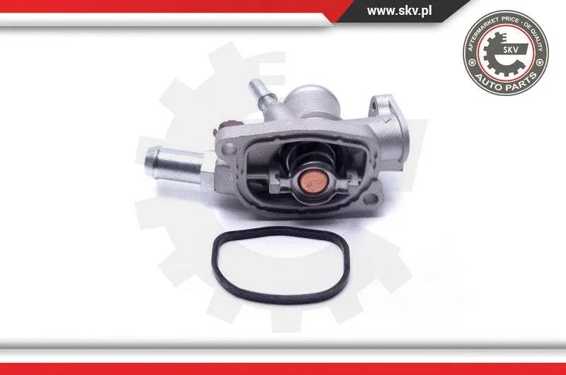 Thermostat, coolant