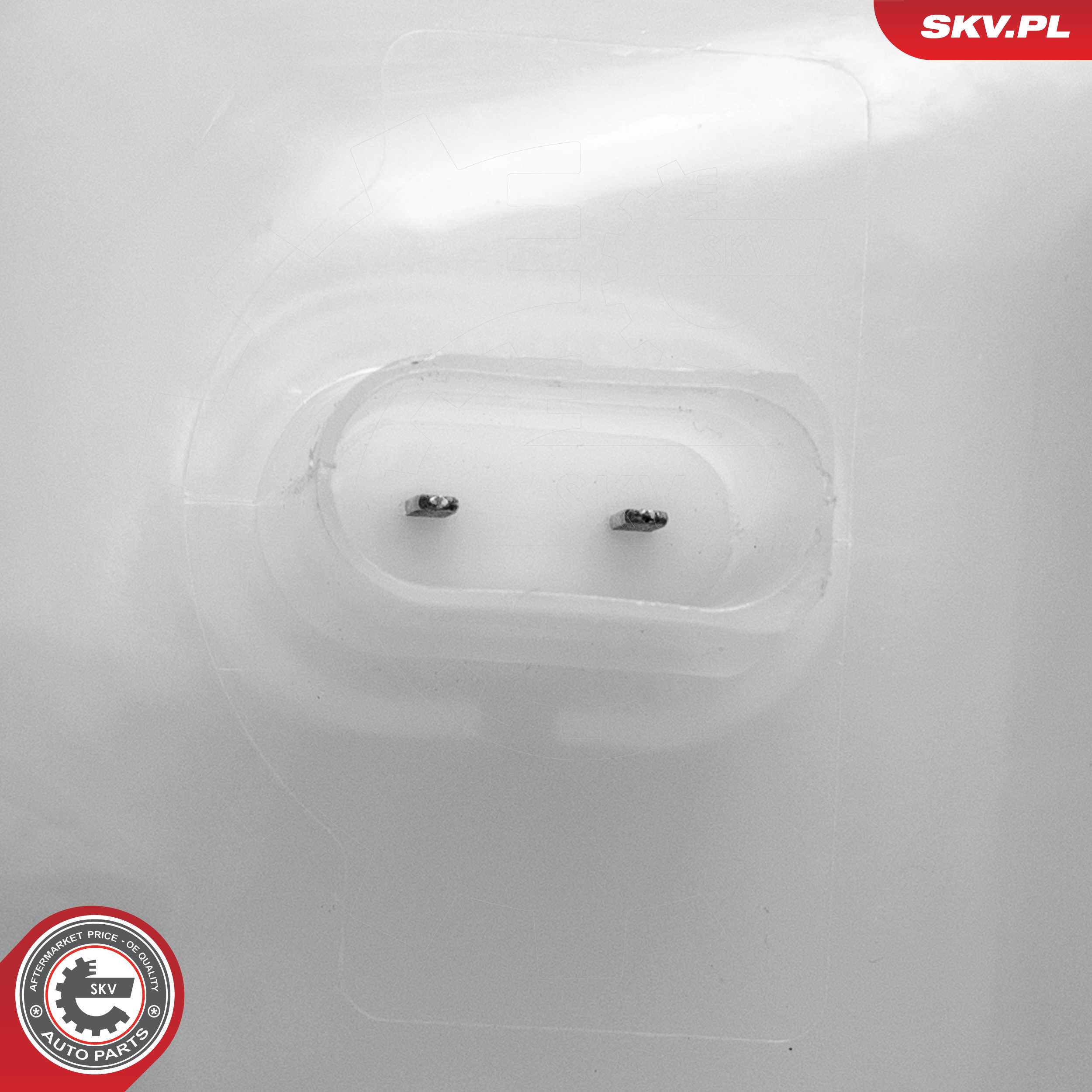 Expansion Tank, coolant