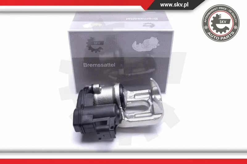 Brake Caliper (55SKV423)