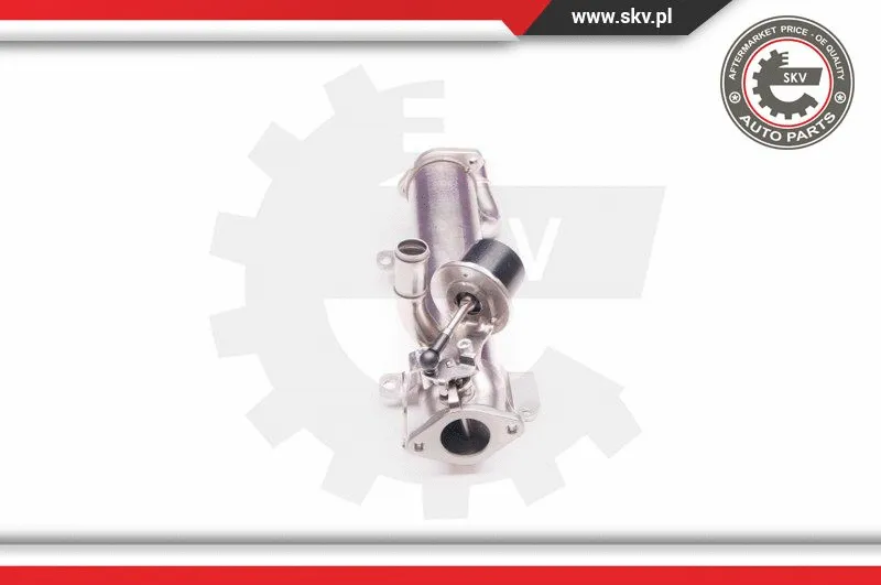 EGR Valve