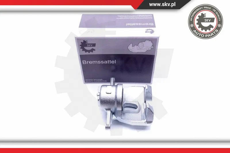 Brake Caliper (44SKV322)