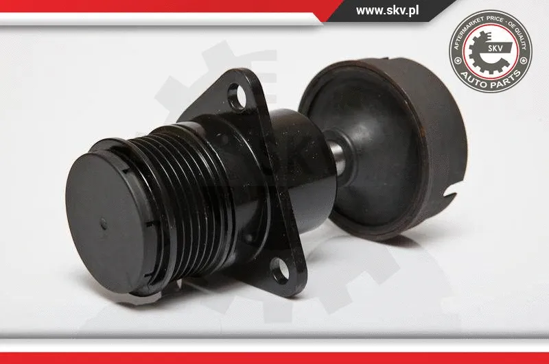 Alternator Freewheel Clutch (11SKV056)