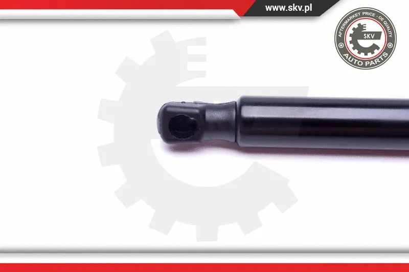 Gas Spring, boot/cargo area