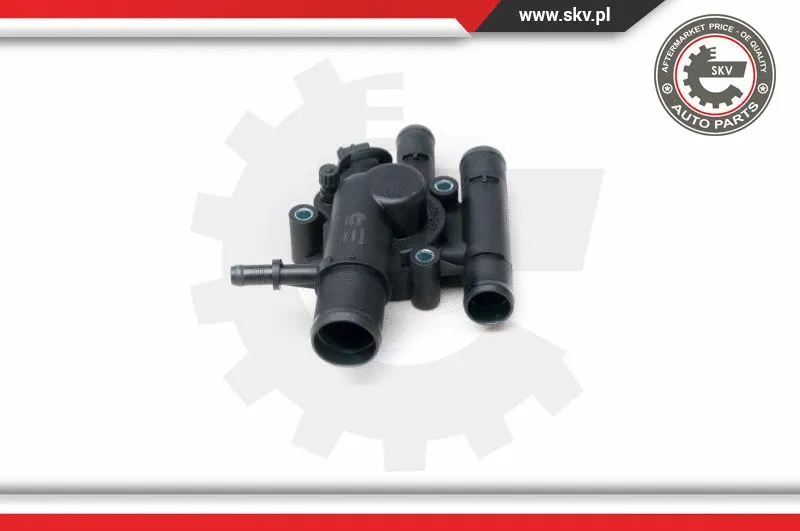 Thermostat, coolant