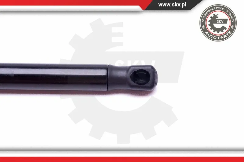 Gas Spring, boot/cargo area