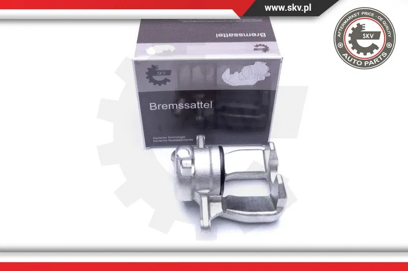 Brake Caliper (44SKV742)