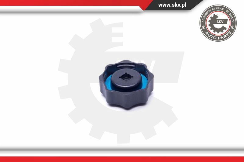 Cap, coolant tank
