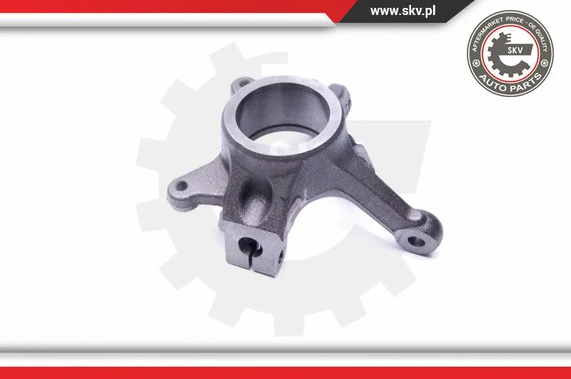 Steering Knuckle, wheel suspension