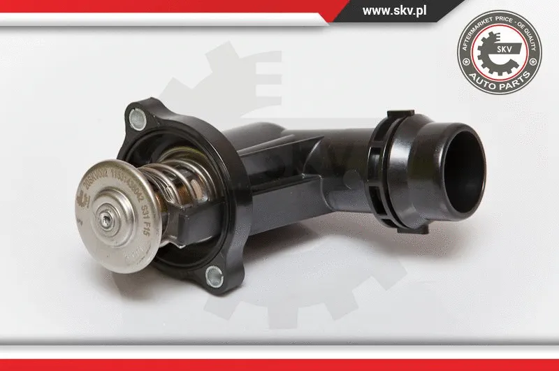 Thermostat, coolant