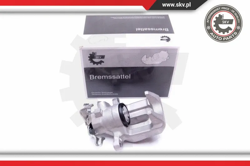 Brake Caliper (45SKV734)