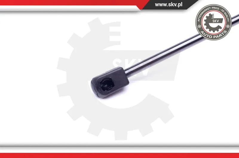 Gas Spring, boot/cargo area