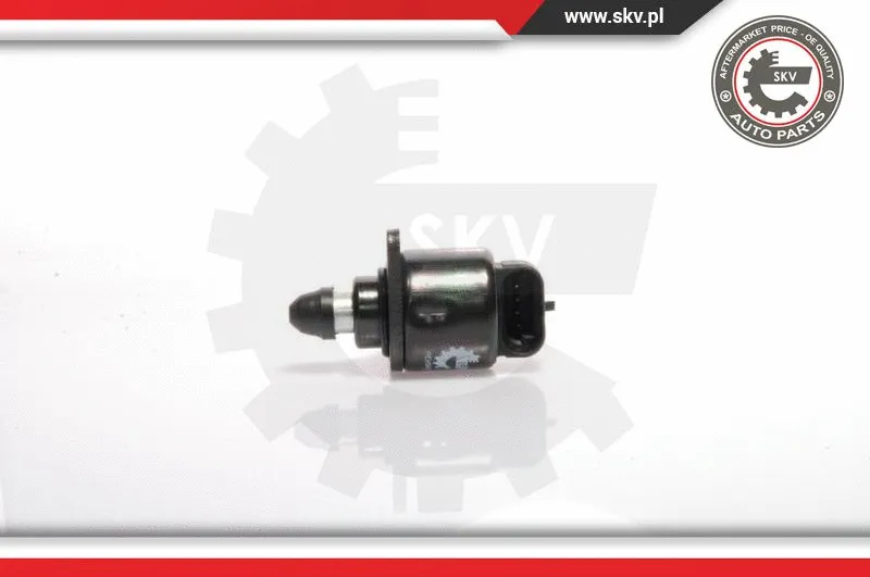Idle Control Valve, air supply (08SKV019)