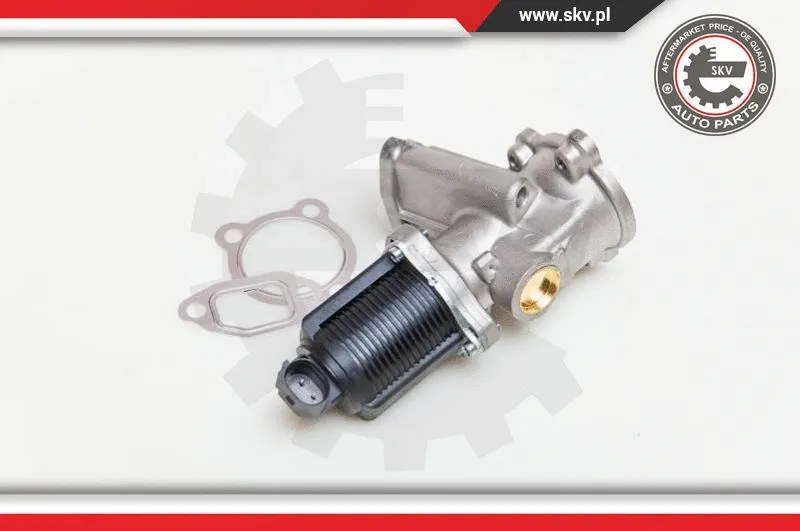 EGR Valve