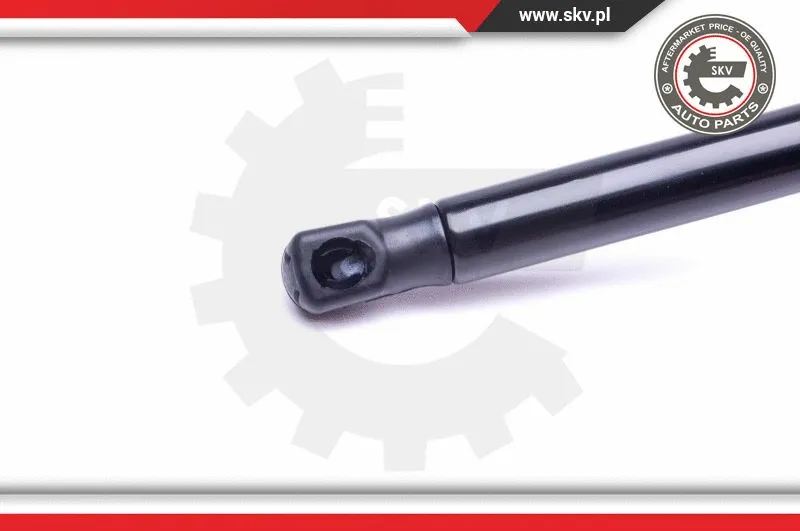 Gas Spring, boot/cargo area