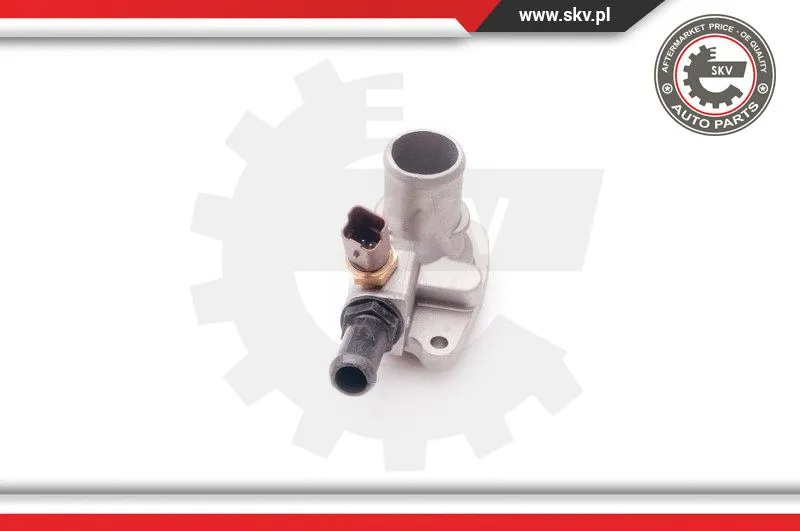 Thermostat, coolant