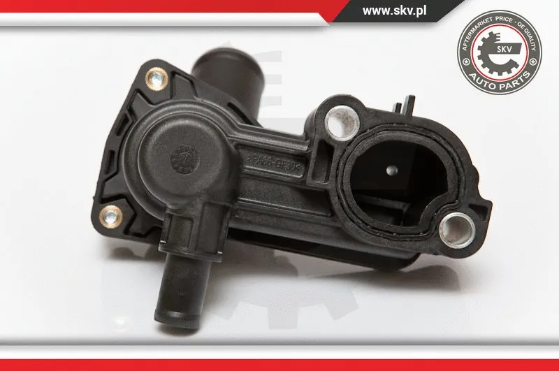Thermostat, coolant