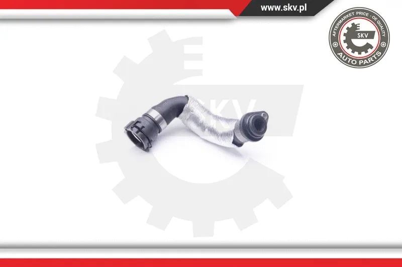 Radiator Hose (24SKV253)