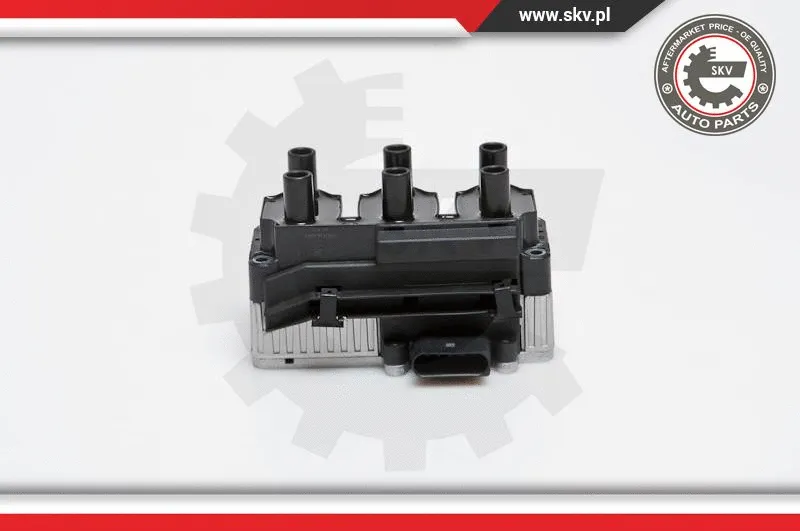 Ignition Coil (03SKV160)