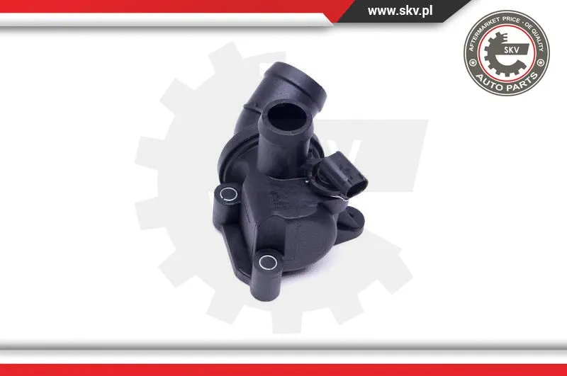 Thermostat, coolant