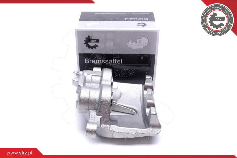 Brake Caliper (55SKV321)