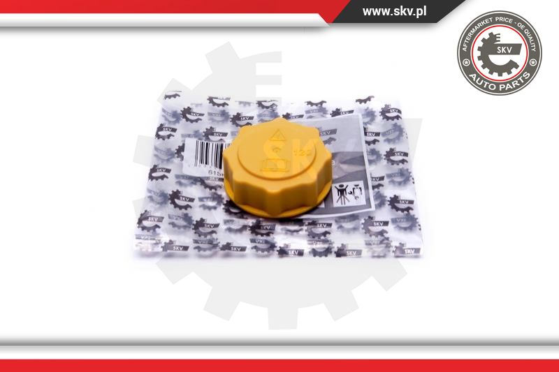Cap, coolant tank (61SKV007)