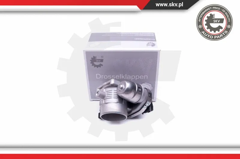 Throttle Body (12SKV079)