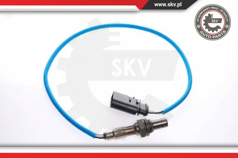 Lambda Sensor (09SKV029)