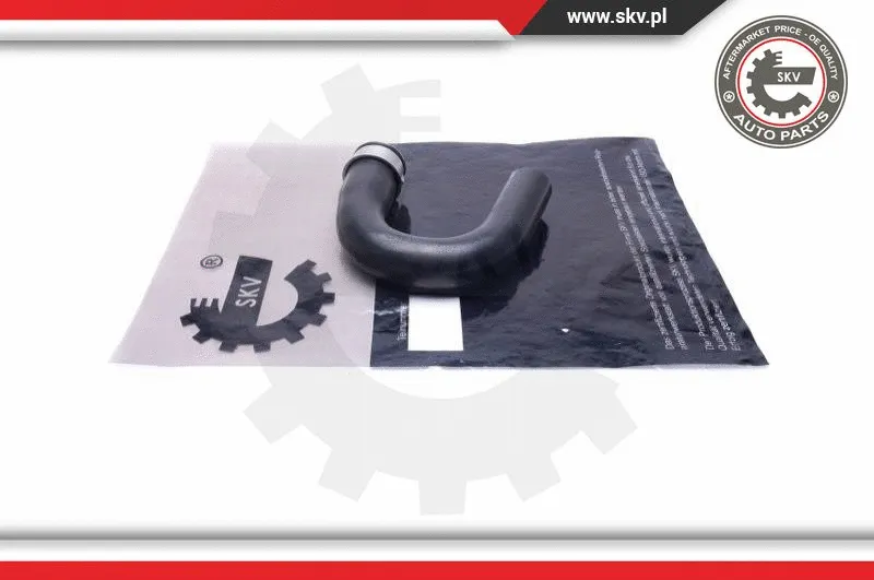 Charge Air Hose (43SKV493)