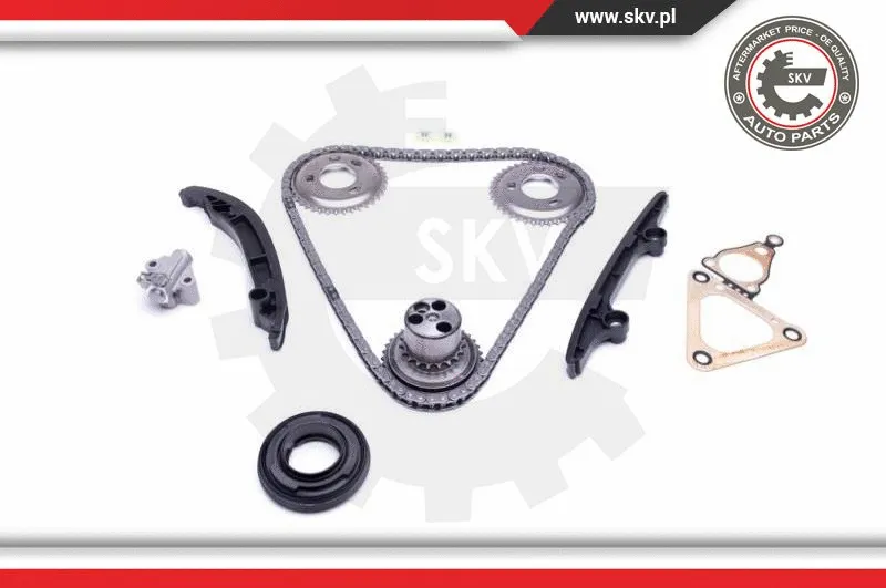 Timing Chain Kit