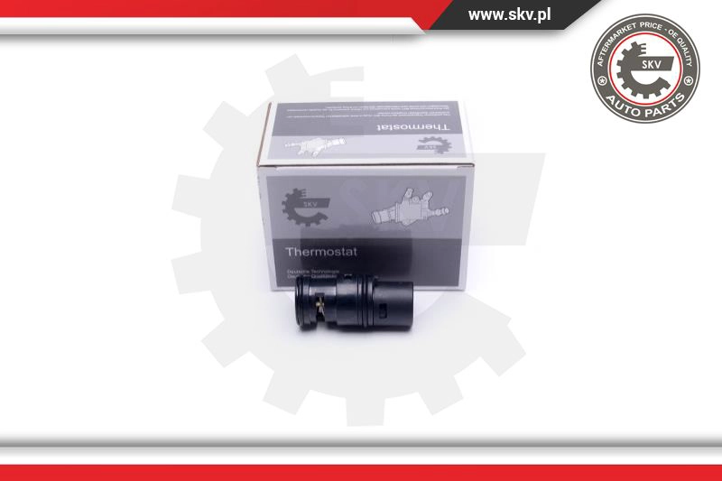 Thermostat, coolant (20SKV153)