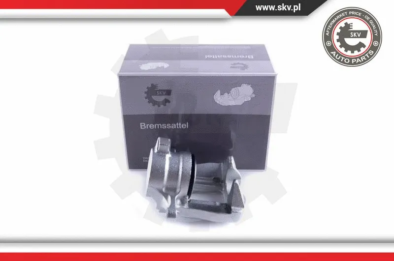 Brake Caliper (55SKV132)