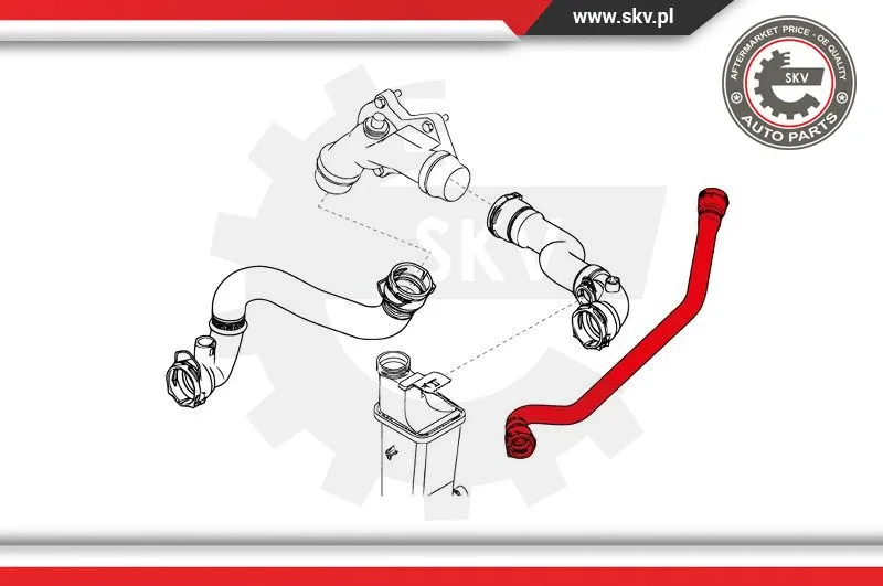 Radiator Hose