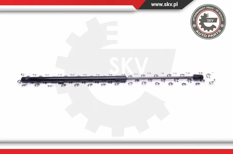 Gas Spring, boot/cargo area