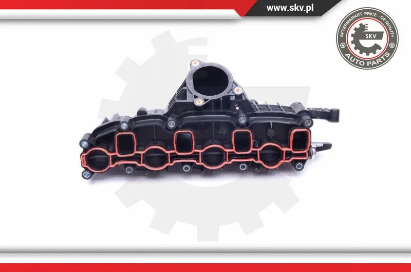 Intake Manifold Module