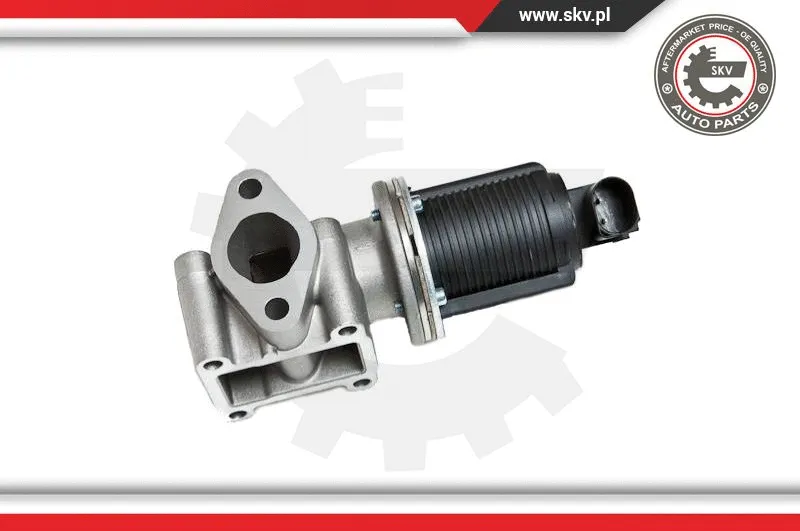 EGR Valve