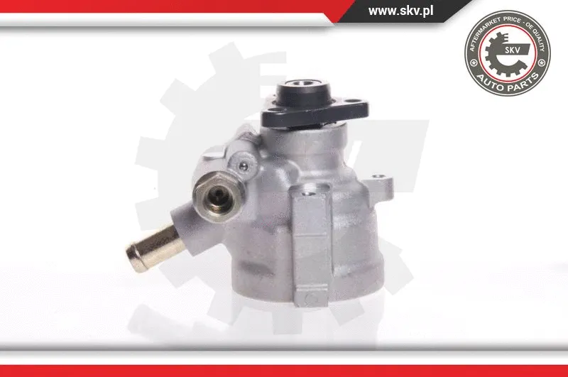 Hydraulic Pump, steering (10SKV007)