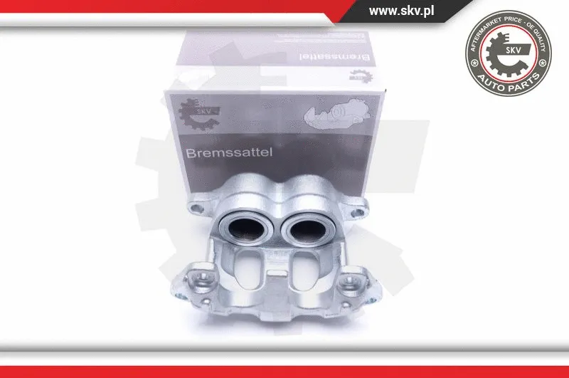 Brake Caliper (46SKV092)