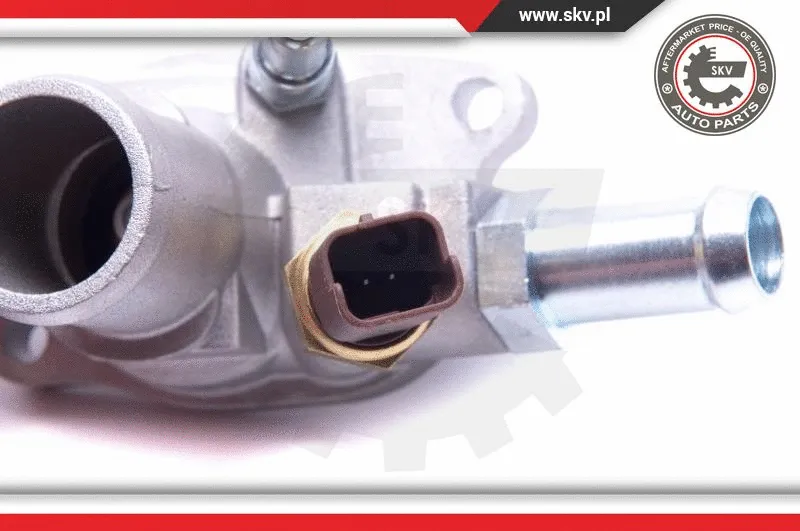 Thermostat, coolant