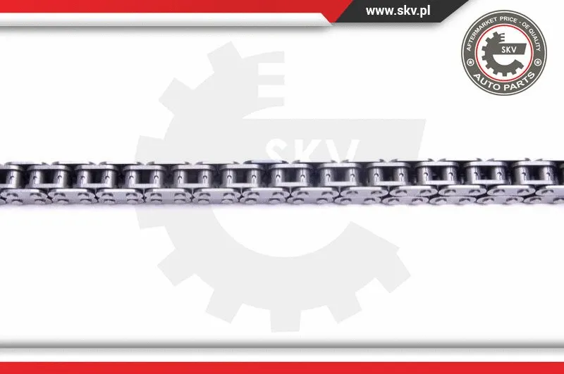 Timing Chain Kit