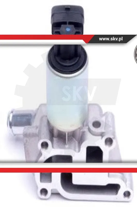 EGR Valve