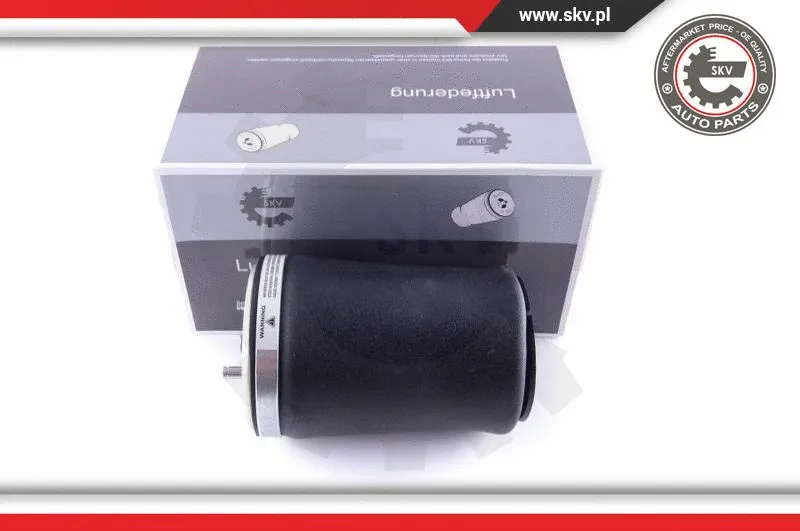 Air Spring, suspension (58SKV001)