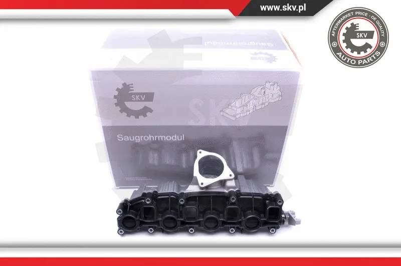 Intake Manifold Module (49SKV006)