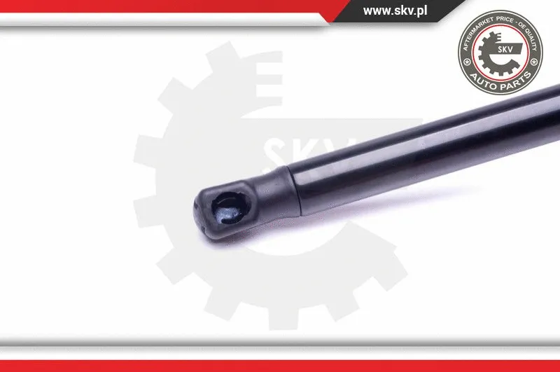 Gas Spring, boot/cargo area